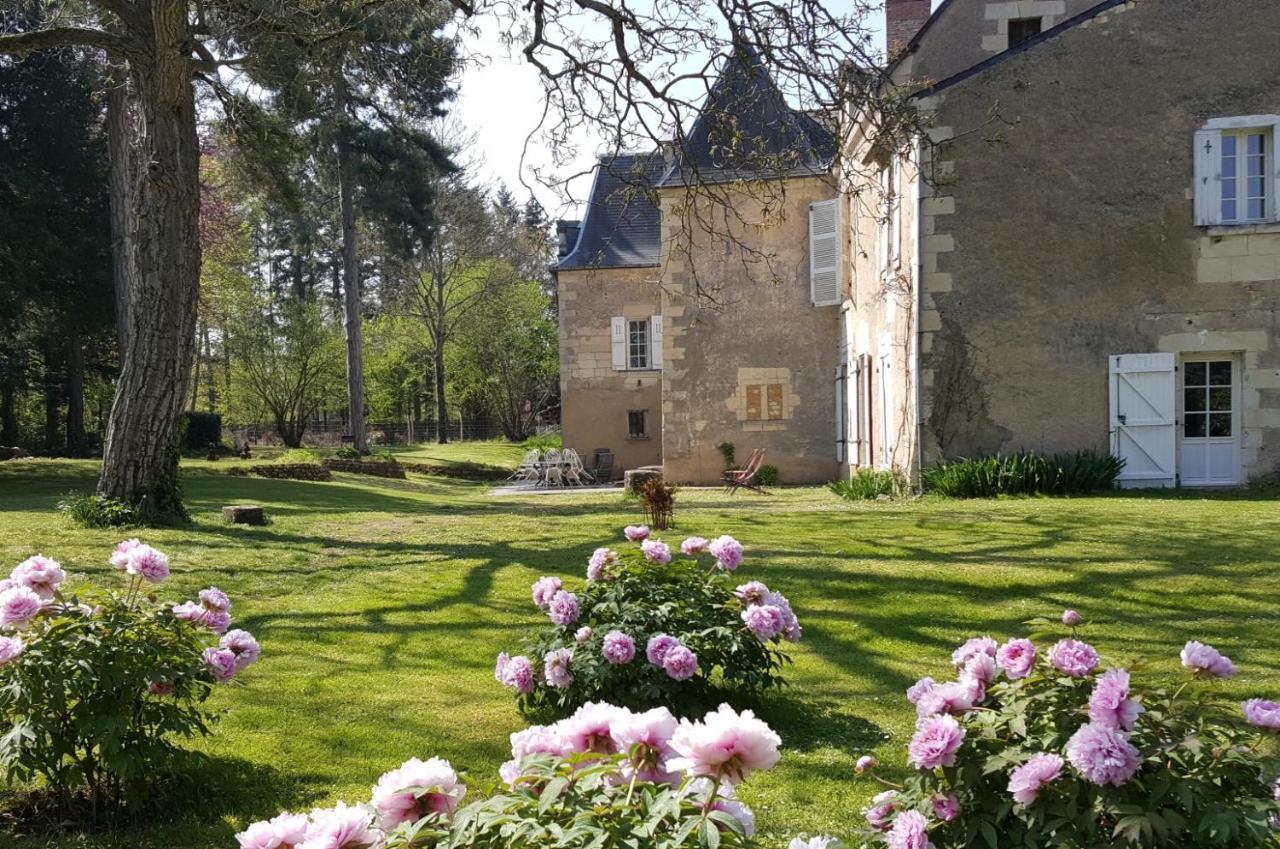 Manoir du Bellay Bed & Breakfast Montreuil-Bellay Dış mekan fotoğraf